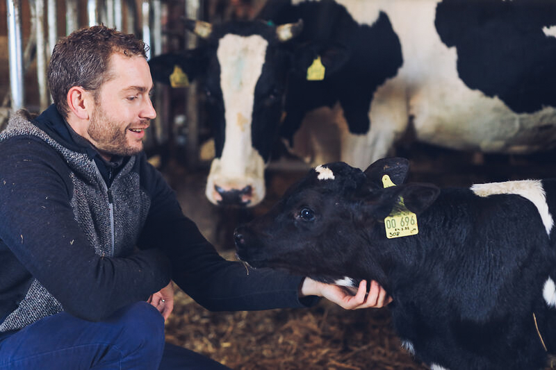 Ökologische Rinderzucht